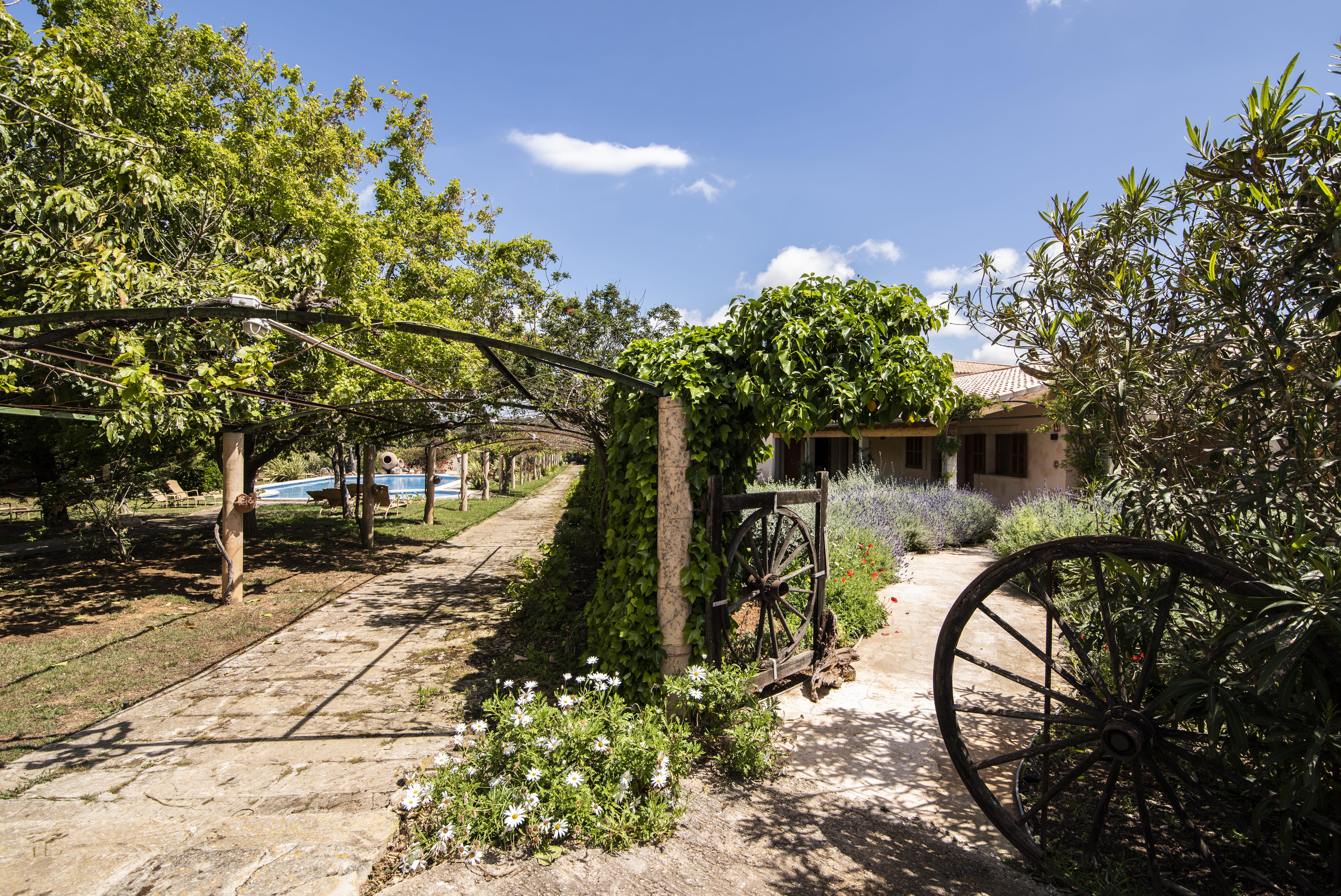 Hotel Aumallia Hotel & Spa Felanitx