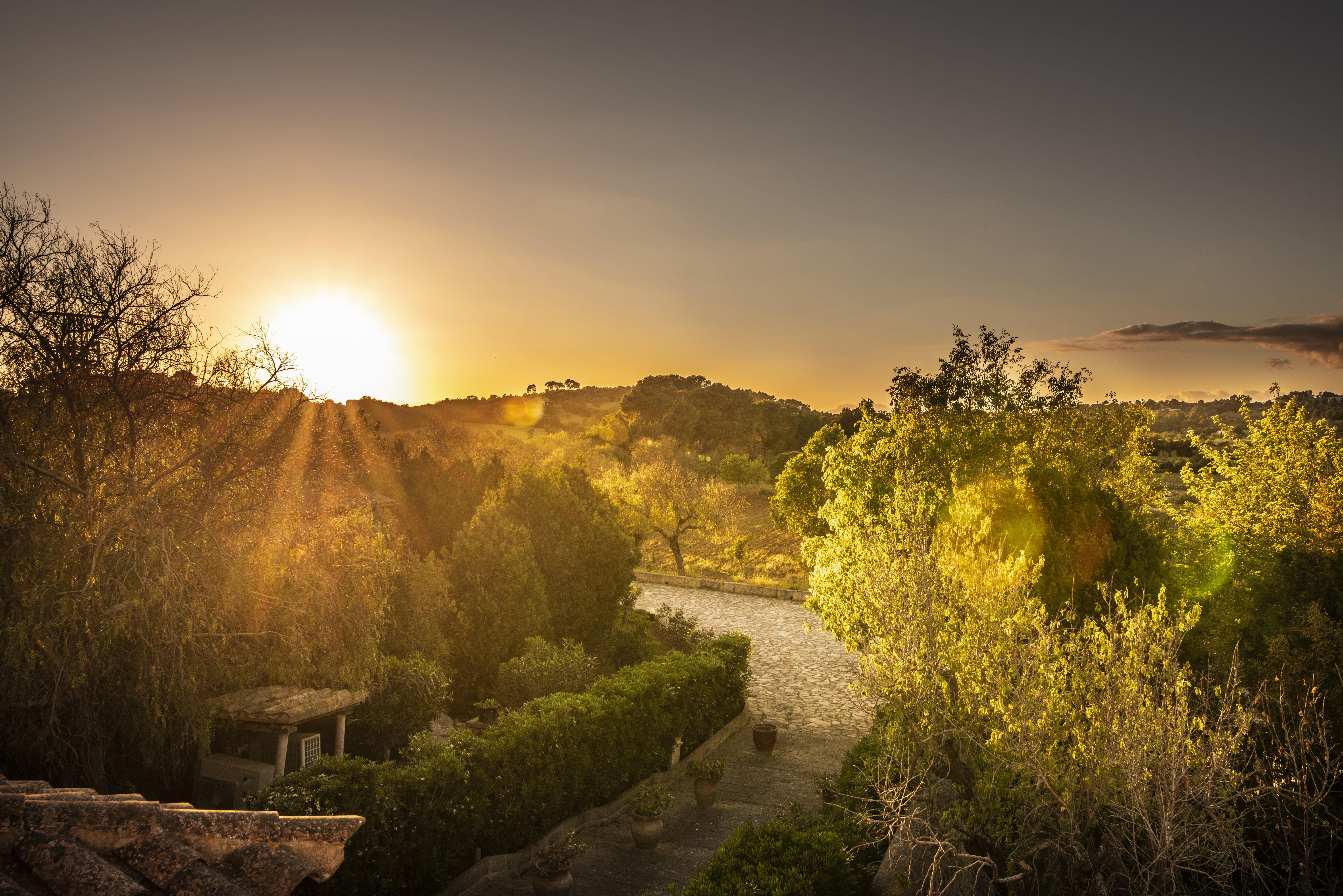 Aumallia Hotel & Spa 4* Felanitx