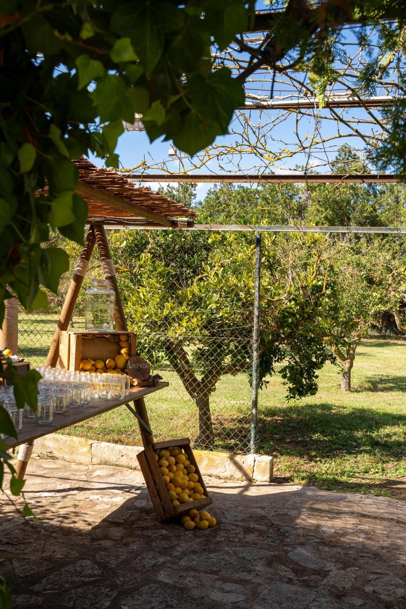 Aumallia Hotel & Spa 4*
