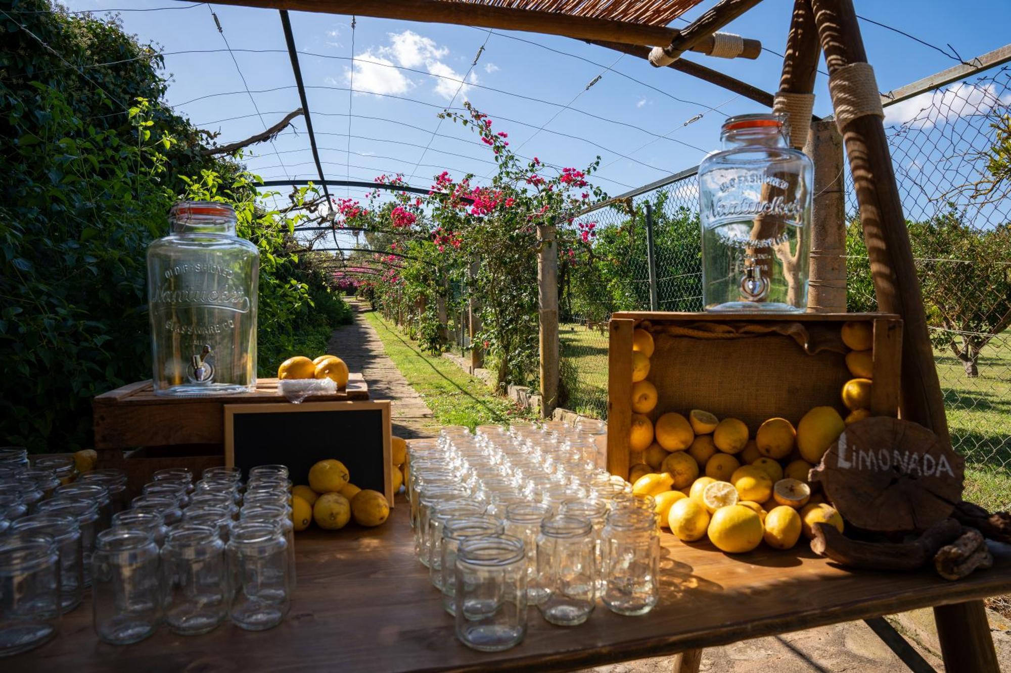 Hotel Aumallia Hotel & Spa Felanitx